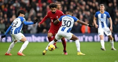 لقاءات مثيرة اليوم: ليفربول يواجه برايتون والزمالك يتحدي كايزر تشيفز